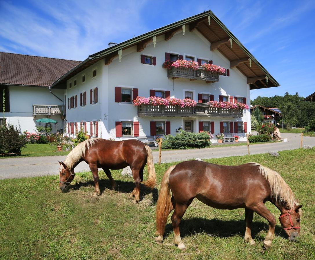Villa Heutauer Hof Siegsdorf Esterno foto